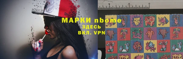 прущие грибы Аркадак