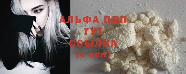 индика Киреевск