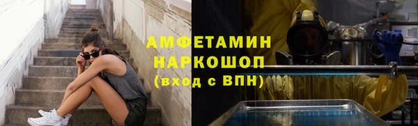 прущие грибы Аркадак
