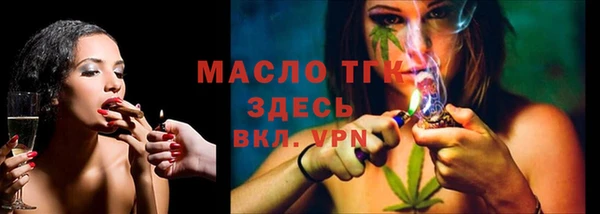 прущие грибы Аркадак