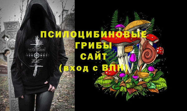 эйфоретик Армянск