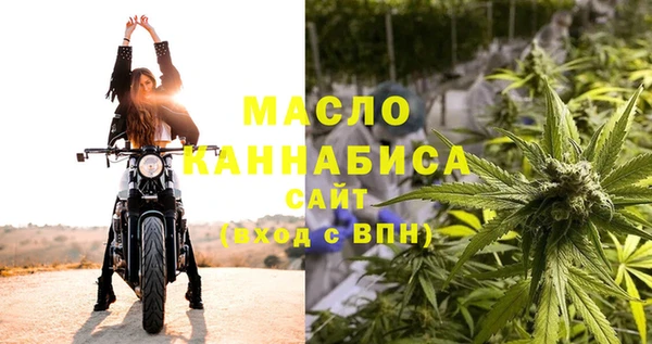 прущие грибы Аркадак