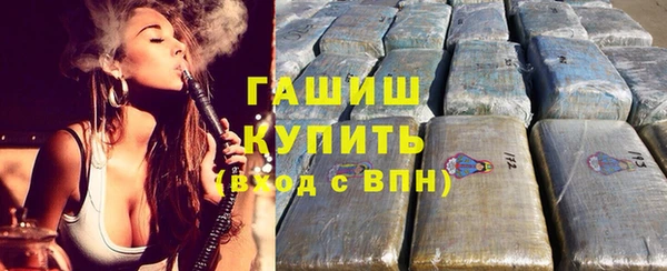 прущие грибы Аркадак