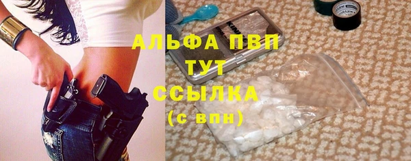 прущие грибы Аркадак