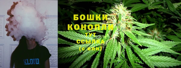 прущие грибы Аркадак