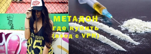 прущие грибы Аркадак